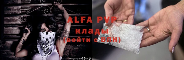 стаф Кинешма