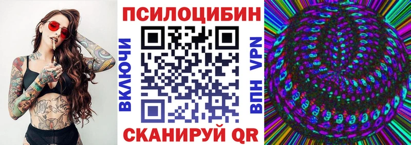 Купить где  Вольск  Галлюциногенные грибы Psilocybe 